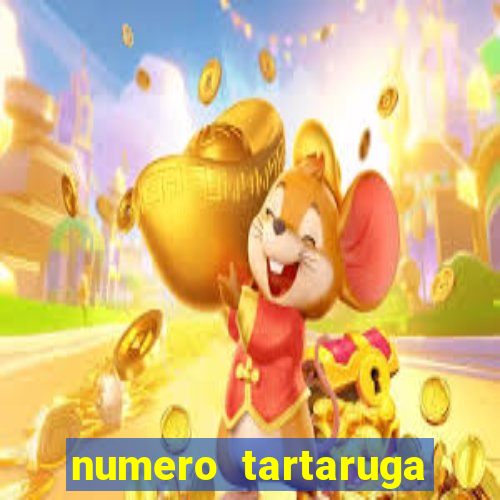 numero tartaruga jogo do bicho